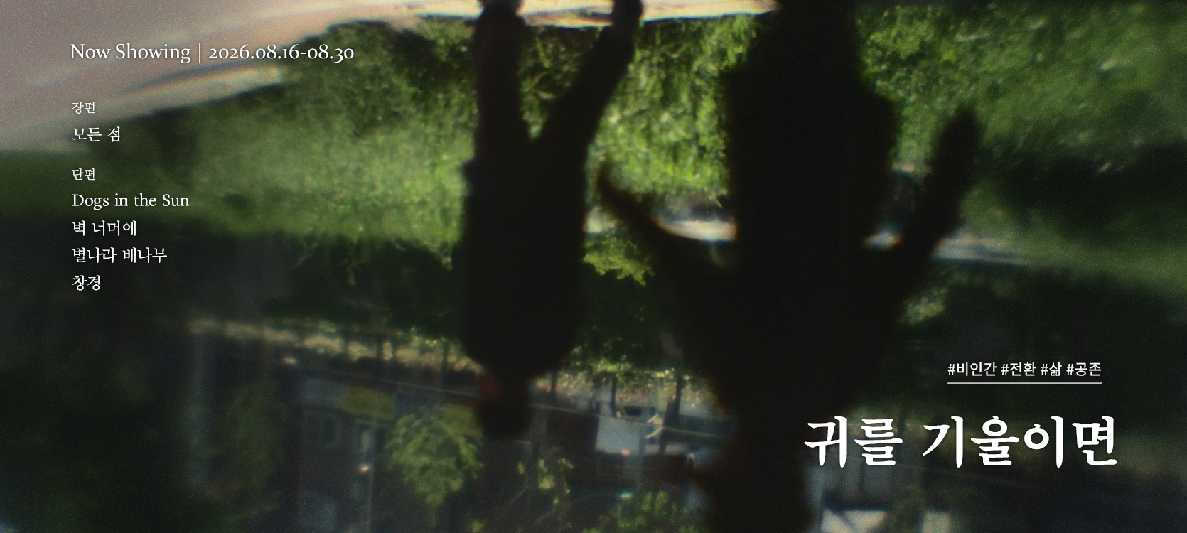 온라인 상영관_0816