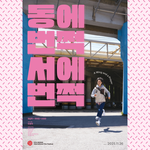 동에 번쩍 서에 번쩍